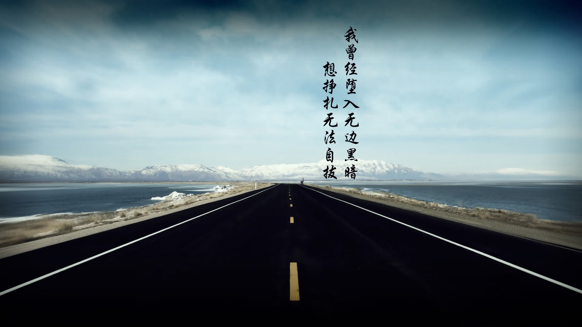 开云平台-Chinese Taipei在2024年乒乓世界杯赛场上的精彩瞬间，2024世界乒乓球锦标赛