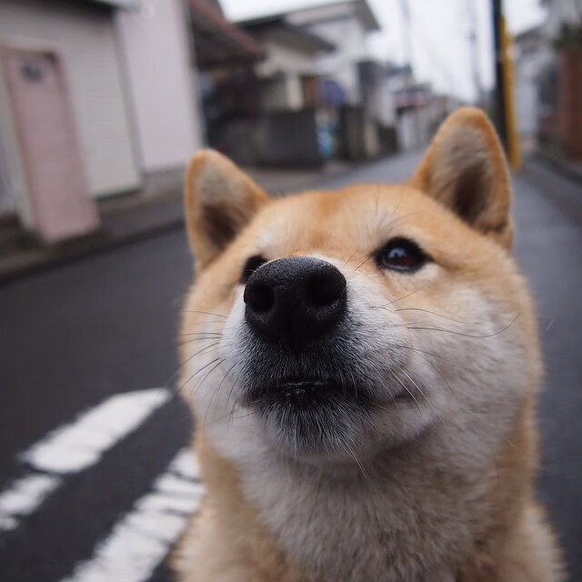 开云中国-亚洲杯中国女足逆袭 球迷点赞教练布阵，中国女足惊动亚足联