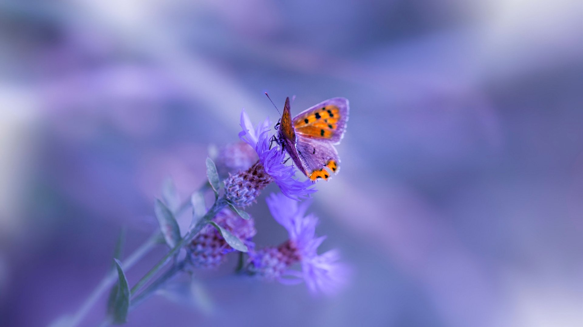 开yun官网-博卡在逼抢下频现传球失误，博卡vs竞技实时比分