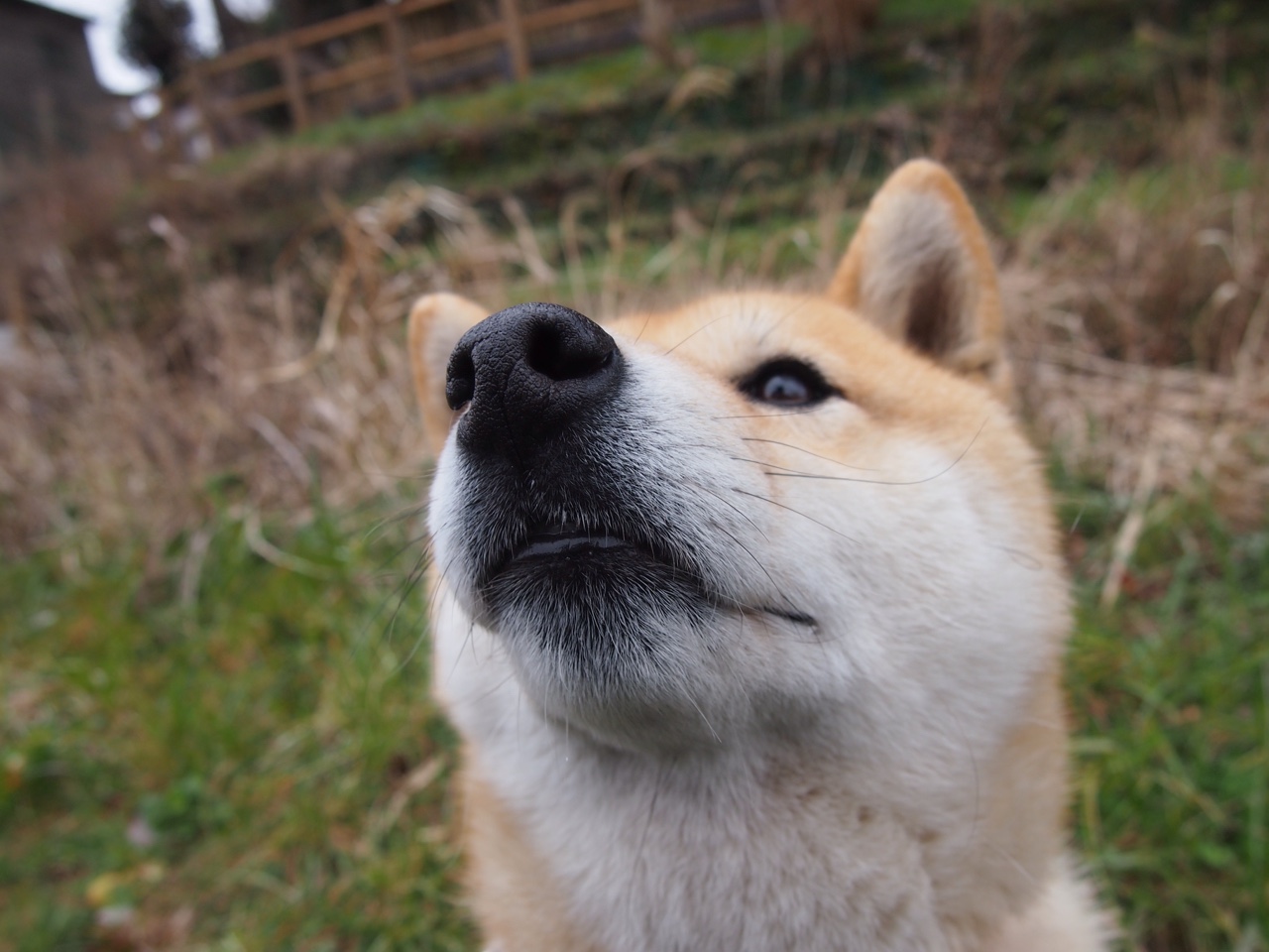 开云esports-国际米兰三线站位紧凑形成防守铁墙，国际米兰的阵型