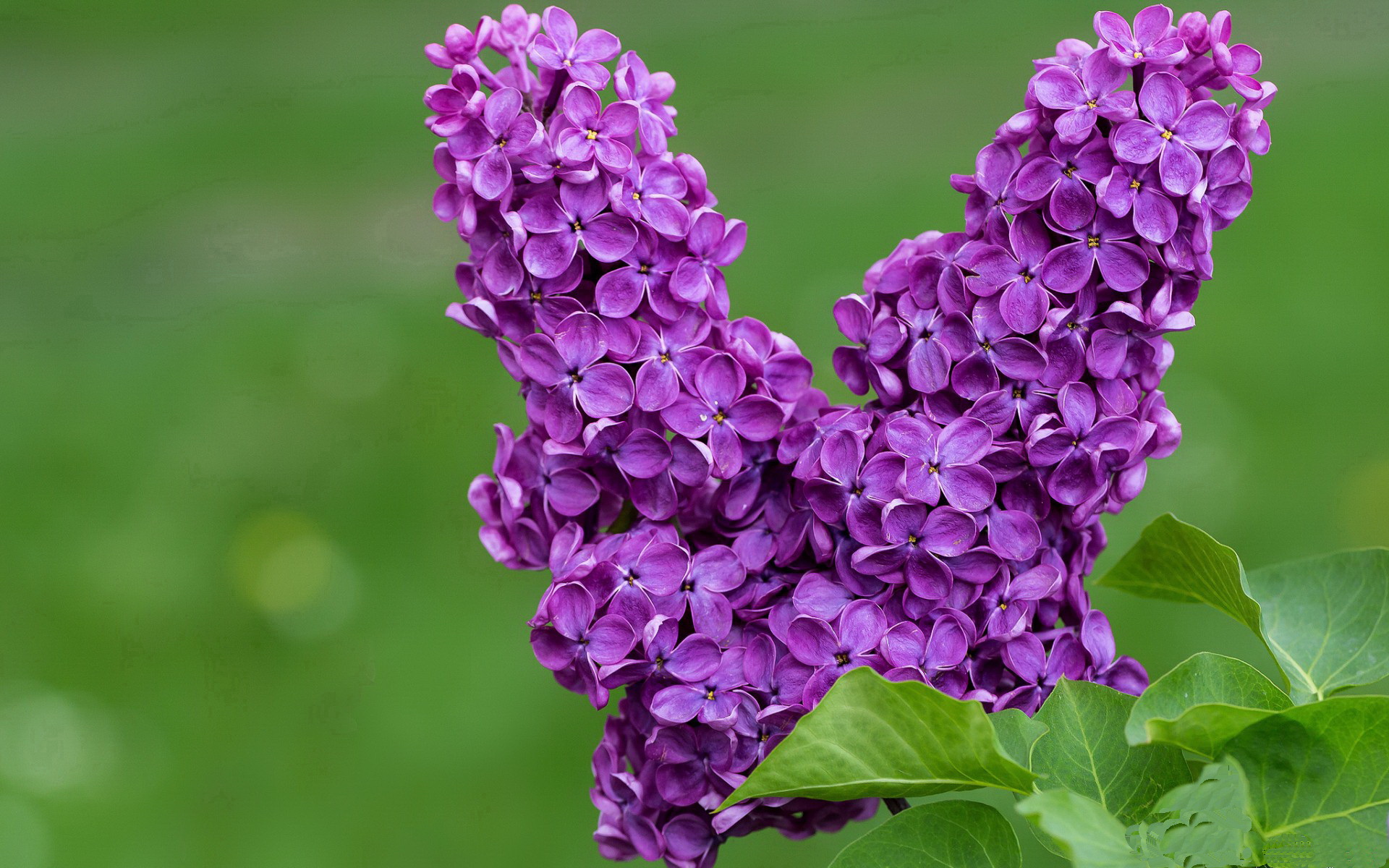 开云 官网 入口-广东男篮备战季后赛训练强度明显加大，广东男篮赛后新闻发布会